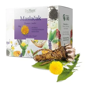 Dr. Plant Maslačak korijen čaj 50 g, za regulaciju probave